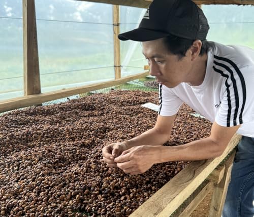 Excelsa Coffee – Granos Verdes de Café Vietnam 5 lb miniatura 6