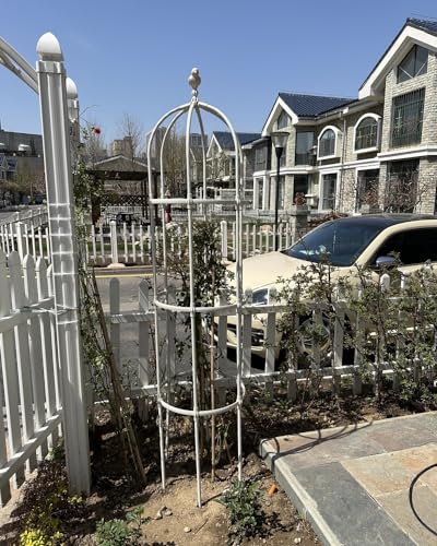 Treillis de jardin en métal pour plantes grimpantes fleurs vignes - 3
