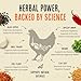 Roosty's Naturals Flock Armor - Chicken De-Wormer Powder - Chili Mix | XL 1LB Pouch | All-Natural Formula | US-Made Chicken Wormer - 16oz Bag