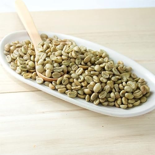 R[q[ 900g RX^JFSHB ^X WK[nj[ R