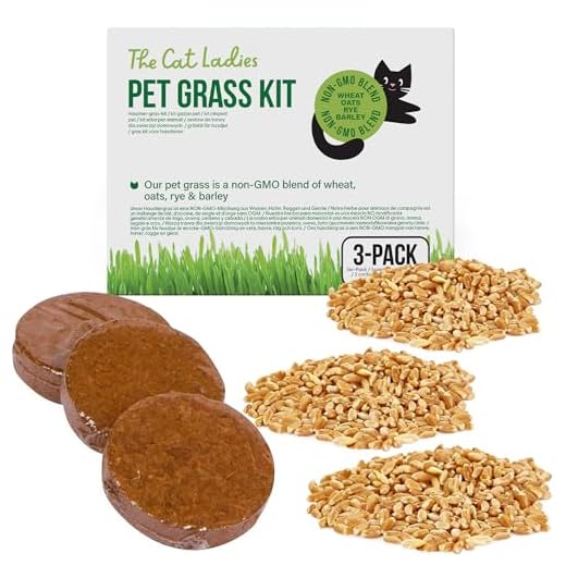 Organic Cat Grass Refill Kit - 3 Pack