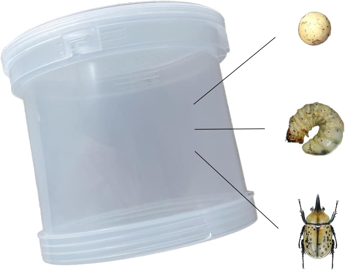 UwilViwl Beetle Reptile Terrarium Kit, Plastic Cricket Keeper for Bugs, Lizards, Butterflies, Frogs, Mantis, or Snakes, Breeding Box 6.3″X6.3″X5.9″ 81oz