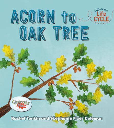 Acorn to Oak Tree (Follow the Life Cycle)