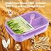 Itopor® Ideal Leak-Proof Bento Box for Kids,Wheat Fiber Materials Lunch Box Kids,Durable BPA-Free Lunch Containers with Utensils,Microwave & Dishwasher Safe Bento Box Adult (Purple 1300ml)