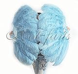 A pair sky blue Single layer Ostrich Feather fan 24'x 41' with leather travel Bag