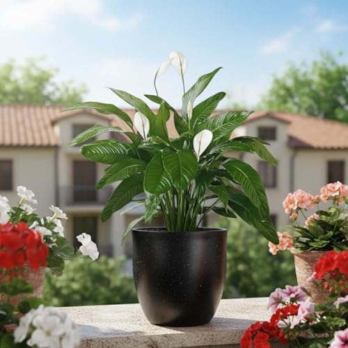 Image of Go Hooked Pluto Black Indoor Planter Pot 10 Inch | Lightweight Modern Round Plant Pot for Living Room, Balcony & Office | Decorative Polymer Pot for Live & Artificial Plants