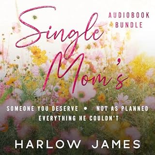 Single Mom's Boxset cover art