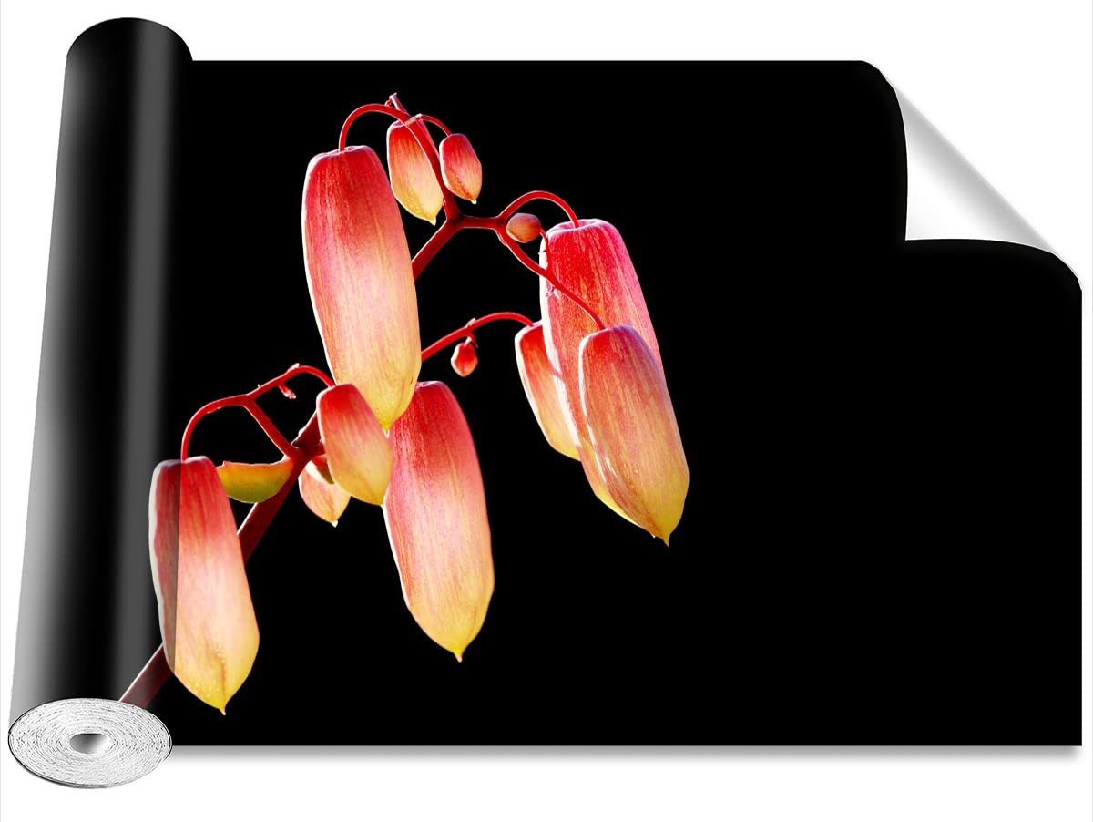 Papier peint fleurs noires Tulup 250x104cm panoramique auto-adhésif
