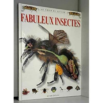 Fabuleux insectes