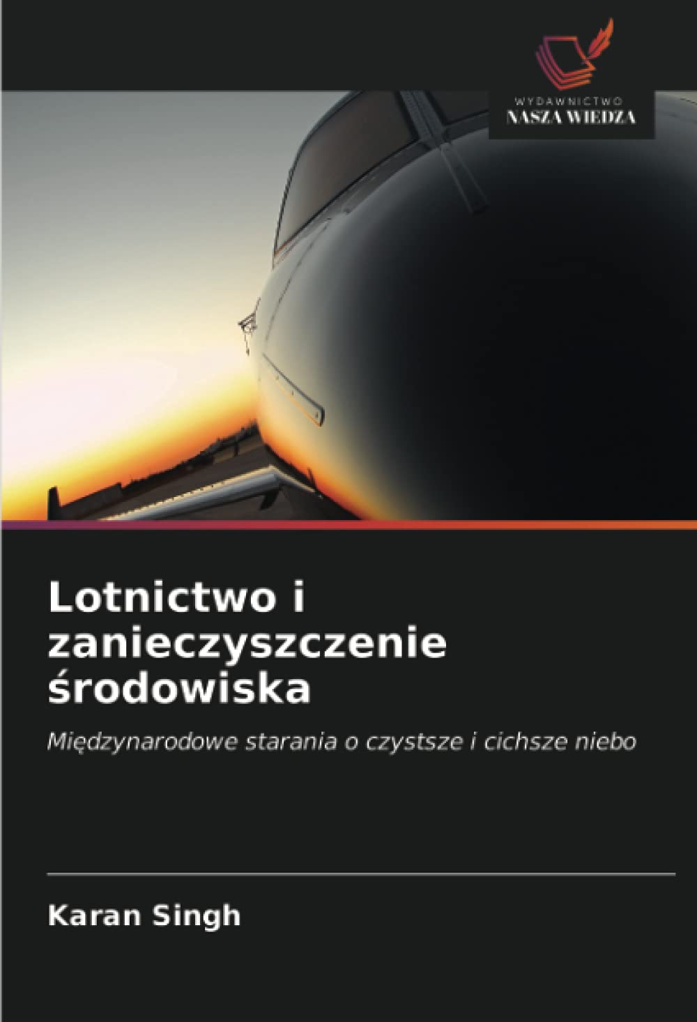 Lotnictwo i zanieczyszczenie ¿rodowiska: Mi¿dzynarodowe starania o czystsze i cichsze niebo
