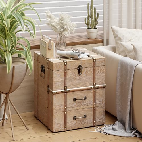 Aoikax Vintage Storage Chest