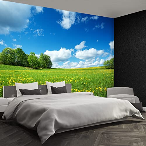 Décoration murale moderne pissenlit jaune pour masquer un mur vide