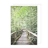 Edition Seidel Premium Trauerkarte mit Umschlag. Trauer eine einzelne Beileidskarte Karte in tiefem Mitgefühl Waldweg stille Anteilnahme aufrichtige Teilnahme Mitgefühl Beileid Abschied (T1008 SW022)