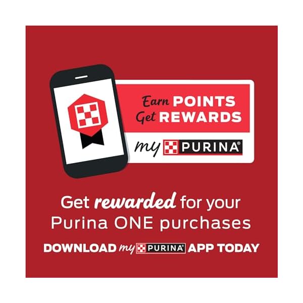 Purina ONE Dry Cat Food, Salmon & Tuna Flavor, 16-Pound Bag by – Bild 4