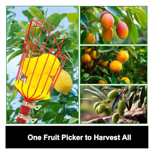 Recogedor de frutas telescópico con mástil extensible reforzado 8