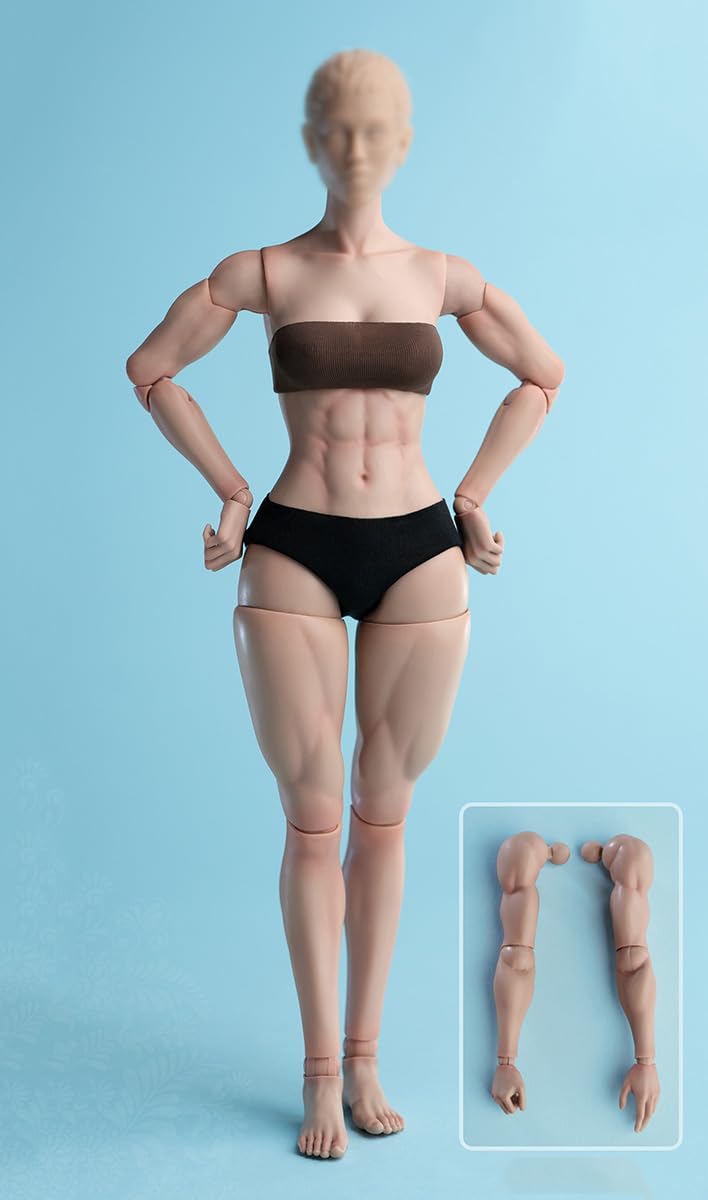 1/6 WorldBox AT201 SDH016 シームレス TBLeague Amazon.com: Fremego 1/6 Scale Female Body,12inch Worldbox Female ミリタリー