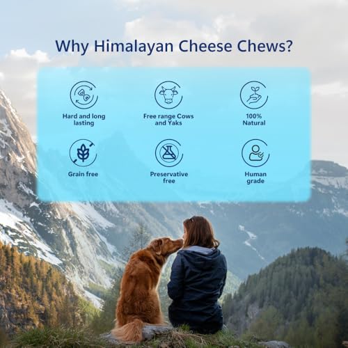 Image of Pawfect Himalayan Yak Cheese Chews for Small Dogs - 100% Natural, Long-Lasting Cheese Bone - Rich in Protein & Calcium - Daily Dental Treat- Plaque Off & Tartar Control- Pack of 3 (100g /3.53oz)