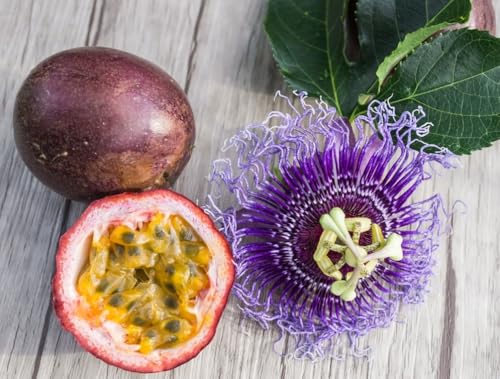 400 Pcs Passion Fruit Flower Seeds for Planting-Outdoor Plant
