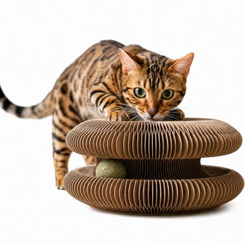 TWISTY PAWS Cat Toy Cat Scratchers for Indoor Cats Magic Organ Foldable Cardboard Cat Scratcher Cat Toy Interactive Relieve Boredom and Exercise