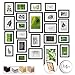bomoe 24er Bilderrahmen Set Verschiedene Größen 10x15cm 13x18cm 15x20cm 20x30cm Fotorahmen Bilderrahmen Collage Schwarz mit Passepartout – Fotowand Bilderrahmen Schwarz Holz Nature Baby,Schwarz günstig Kaufen-bomoe 24er Bilderrahmen Set Verschiedene Größen 10x15cm 13x18cm 15x20cm 20x30cm Fotorahmen Bilderrahmen Collage Schwarz mit Passepartout – Fotowand Bilderrahmen Schwarz Holz Nature