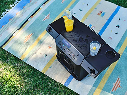 sony pg10 portable bluetooth outdoor speaker