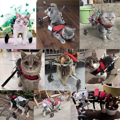Andador para recuperación de movilidad de gatos y perros pequeños: paseos diarios sin límites 3