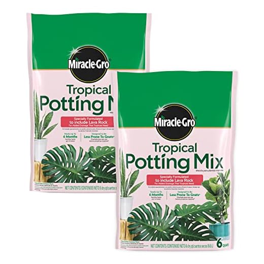 Miracle-Gro Tropical Potting Mix - Growing Media for Tropical Plants Living in Indoor and Outdoor Containers, 6 qt. (2-Pack)