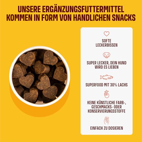 ivvi Skin & Coat Omega 3 für Hunde gegen Juckreiz im Leckerliformat, für gesunde Haut & glänzendes Fell – mit Biotin, DHAgold, Zink, Vitamin C, Lachsöl - 60 leckere Snacks (270g) mit Lachs