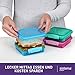 Sistema 3-Piece Sandwhich Containers for Lunch Boxes and Meal Prep, Dishwasher Safe, 1.9-Cup, Blue/Green/Pink