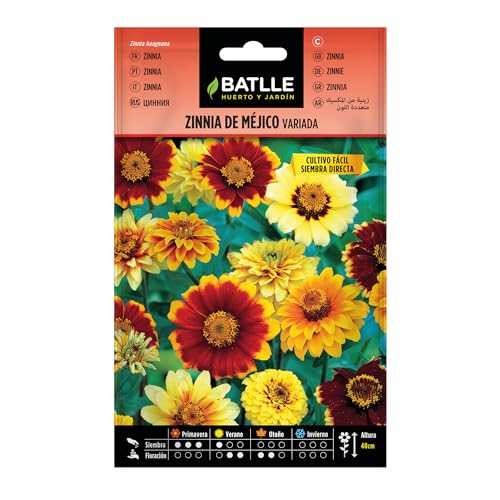 Semillas Batlle Zinnia de MEJICO variada