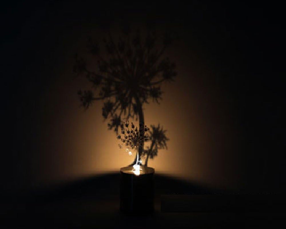 Creative Candle Flickering Style Shadow Projection Lamp Timer Projector Light Romantic Atmosphere Night Light for Desktop Decor (Dandelion)