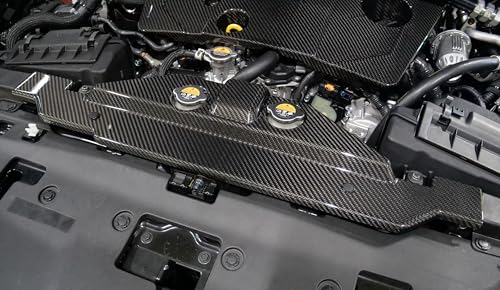 HKS 2023 Nissan Z Dry Carbon Radiator Cover