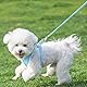 AIITLE No Pull Hundegeschirr, Step in einstellbares Hundegeschirr mit gepolsterter Weste, Hundeleine mit weichem gepolstertem Griff, leicht anzulegen für kleine und mittlere Hunde Reines Blau S