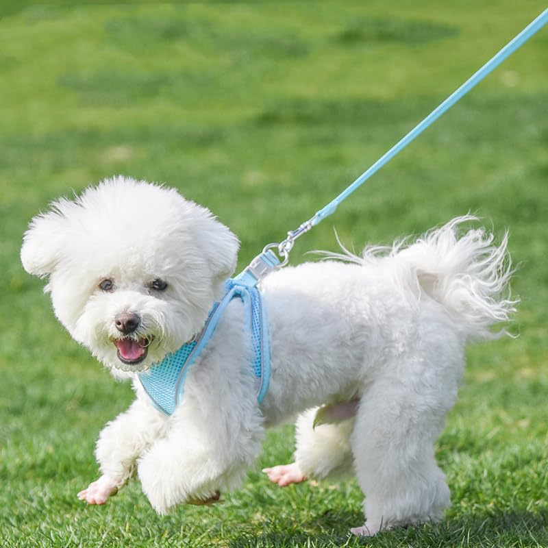 AIITLE No Pull Hundegeschirr, Step in einstellbares Hundegeschirr mit gepolsterter Weste, Hundeleine mit weichem gepolstertem Griff, leicht anzulegen für kleine und mittlere Hunde Reines Blau S