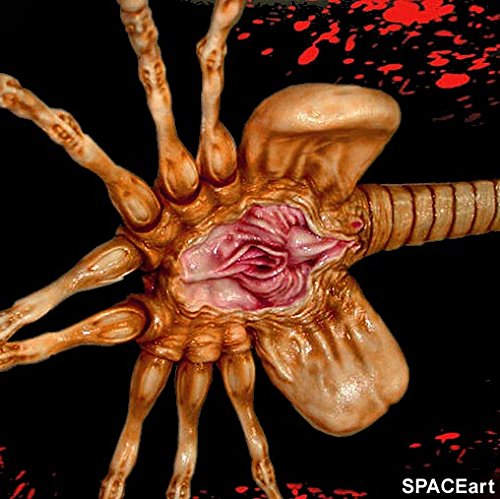 ALIEN FACE HUGGER 1:1 PVCモデル当時物デッドストック ALIEN FACE HUGGER 1:1 PVCモデル当時物デッドストック Life