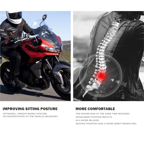 Elevador de Manillar Tiger Sport 660 Piezas Protector y Desplazamiento 2022 3