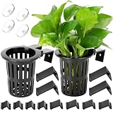 Borlech New Upgraded Large Aquarium Plant Holder with 1.57-inch Extension Hooks and Suction Cups for Fish Tank Aquaponic Plant Cultivation and Aquascape Accessories Decorations (2 Pack)