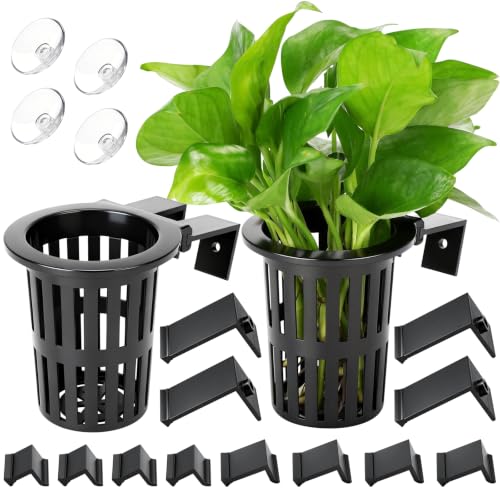 Image of Borlech New Upgraded Large Aquarium Plant Holder with 1.57-inch Extension Hooks and Suction Cups for Fish Tank Aquaponic Plant Cultivation and Aquascape Accessories Decorations (2 Pack)