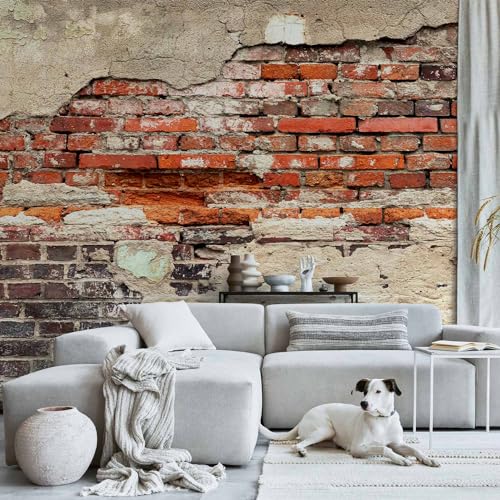murando - Fototapete XXL Ziegelmauer 500x280cm- Foto Tapete Schlafzimmer Wohnzimmer Vliestapete XXL Wandtapete Motivtapeten Bildtapete 3d Effekt Wand Dekoration - Ziegel Ziegelstein f-A-0503-x-b