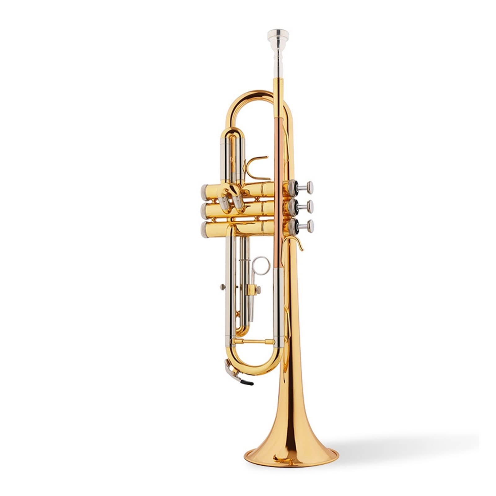 TSTS Bocchino per Tromba Professionale in Si Bemolle Standard per Tromba in Bronzo Fosforoso per La Valutazione Scolastica Tromba Studente