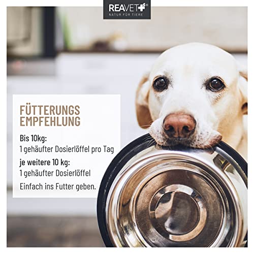 ReaVET BallastoVET für Hunde 250g – schnelle Unterstützung bei Verstopfungen beim Hund, bei akuten & chronischen Verstopfungen & festem KOT, Verdauungshilfe für Hunde, schnelle Hilfe bei Darmträgheit