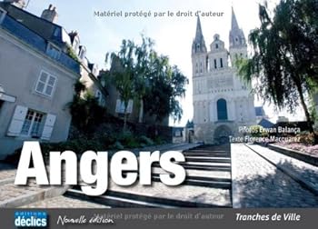 Paperback Angers (French Edition) [French] Book
