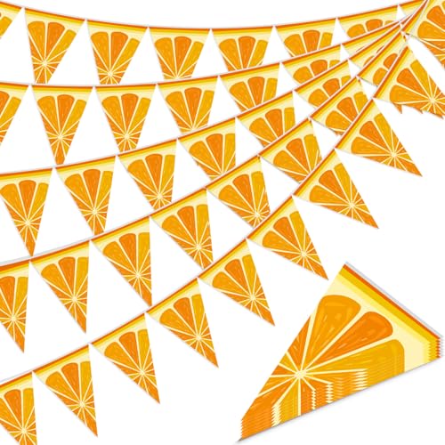 Image of Gersoniel 5 Pcs Orange Party Decorations Citrus Pennant Banner