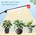 Orchbloom 3-Head Grow Light with Stand and Timer, 27 Watt Power Home Plug LED Grow Lights for Indoor Plants for Tall Houseplants, Bonsai Tree, Seed Starting, 24
