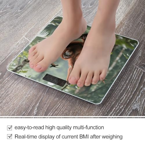 Báscula Digital de Baño Swinging Orangutan Precisa 400 lb miniatura 5