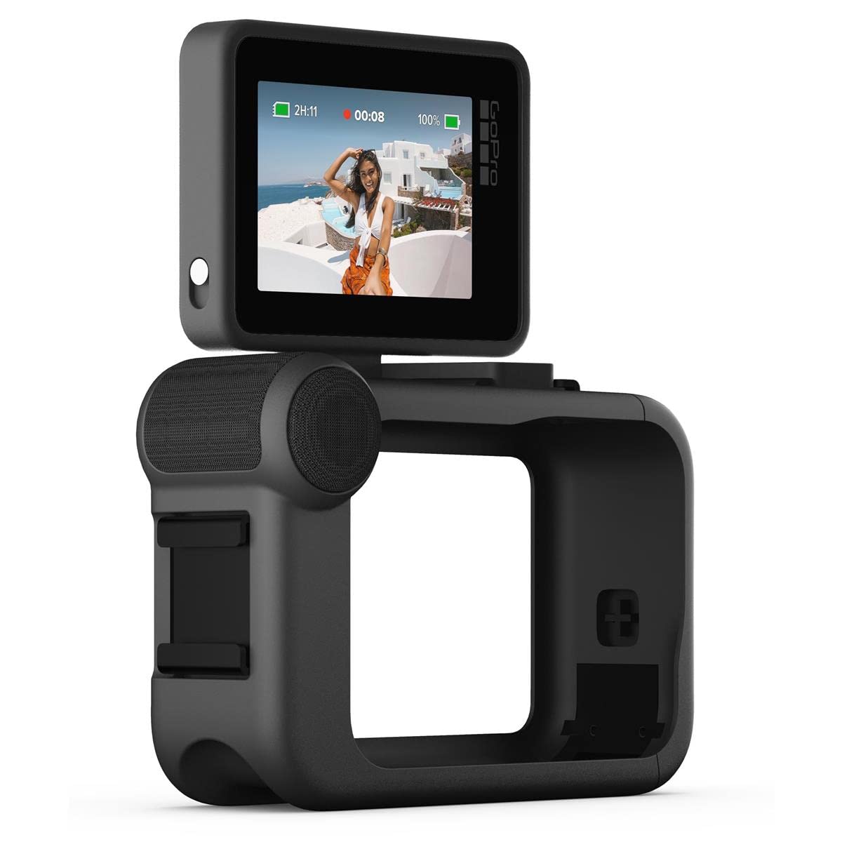 Amazon.com : GoPro Display Mod - Official Accessory, 1080p