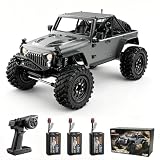 Teeggi H12Y RC Crawler Kletterfahrzeug, 1/12 Ferngesteuertes Truck Modell 4WD Off-Road All Terrain Geländekletterauto, 2.4G Bürstenloser Motor RC Ferngesteuertes Auto, 3 Batterien, Schwarz