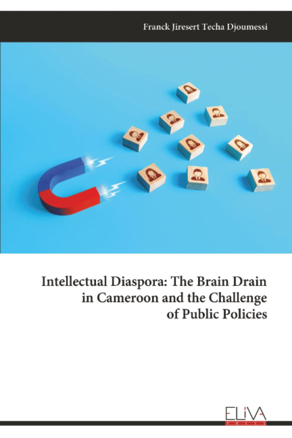 Intellectual Diaspora: The Brain Drain in Cameroon and the Challenge of Public Policies