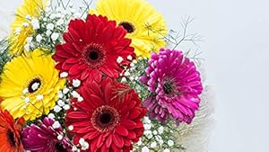 ISEE 360 Colourful Sun Flower Wall Laminated Posters for Home Living Kids Study Bed Room Kitchen Office Decor Stylish Printed Wall Poster 300 GSM L X H 17 X 11 Inches