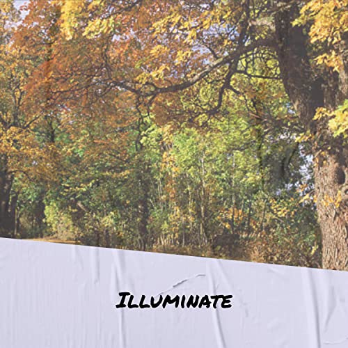  Illuminate
